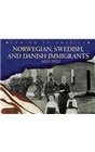 Norwegian Swedish and Danish Immigrants 18201920