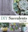 DIY Succulents From Placecards to Wreaths 35 Ideas for Creative Succulent Projects