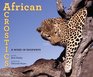 African Acrostics A Word in Edgeways