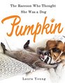 Pumpkin The Raccoon Who Thought She Was a Dog