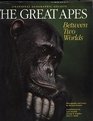 The Great Apes Between Two Worlds