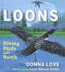 Loons Diving Birds of the North