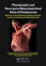 Photographic and Descriptive Musculoskeletal Atlas of Chimpanzees With Notes on the Attachments Variations Innervation Function and Synonymy and Weight of the Muscles