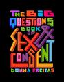 The Big Questions Book of Sex  Consent