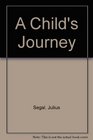 Child's Journey Forces That Shape the Lives of Our Young