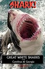 Shark Great White Sharks of the Carolinas  Georgia