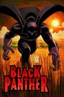 Black Panther Vol 1 Who Is The Black Panther