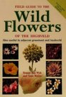 Field Guide to the Wild Flowers of the Highveld Also Useful in Adjacent Grassland and Bushveld
