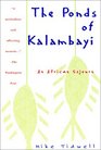 The Ponds of Kalambayi An African Sojourn