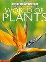 World of plants