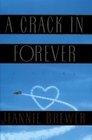 A Crack in Forever