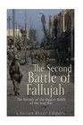 The Second Battle of Fallujah The History of the Biggest Battle of the Iraq War
