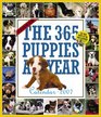 The 365 PuppiesAYear Calendar 2007