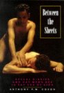 Between the Sheets Sexual Diaries and Gay Men's Sex in the Era of AIDS