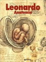 Leonardo Anatomia