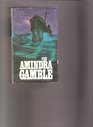 The Amindra Gamble
