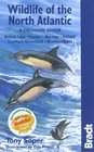 Wildlife of the North Atlantic A Cruising Guide