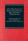 Atlas of Fine Structure of Human Sperm Penetration Eggs and Embryos Cultured In Vitro