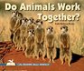 Do Animals Work Together
