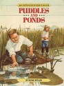 Puddles and Ponds