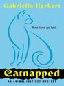 Catnapped