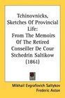 Tchinovnicks Sketches Of Provincial Life From The Memoirs Of The Retired Conseiller De Cour Stchedrin Saltikow