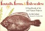 Foxtails ferns  fish scales A handbook of art and nature projects