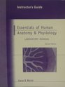 Instructors Guide to Essentials of Human Anatomy  Physiology Laboratory Manual