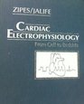 Cardiac Electrophysiology From Cell to Bedside