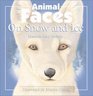 Animal Faces on Snow and Ice