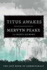 Titus Awakes A Novel