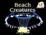 Beach Creatures
