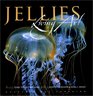 Jellies Living Art