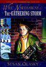 Will Northaway  the Gathering Storm