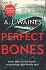 Perfect Bones a tense psychological thriller that will keep you hooked