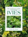 Gardeners Guide to Growing Ivies