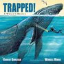 Trapped A Whale's Rescue