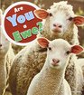 Are You a Ewe