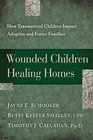 Wounded Children Healing Homes How Traumatized Children Impact Adoptive and Foster Families