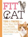 Fit Cat Tips and Tricks to Give Your Pet a Longer Healthier Happier Life
