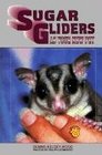Sugar Gliders As Your New Pet