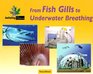 From Fish Gills to Underwater Breathing