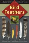 Bird Feathers A Guide to North American Species