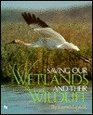 Saving Our Wetlands and Their Wildlife