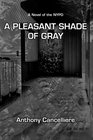 A Pleasant Shade Of Gray  A Novel of the NYPD