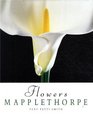 Robert Mapplethorpe Flowers