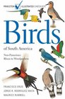 Birds of South America NonPasserines Rheas to Woodpeckers