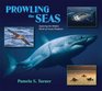 Prowling the Seas Exploring the Hidden World of Ocean Predators