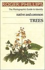Native and Common Trees