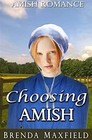 Amish Romance Choosing Amish